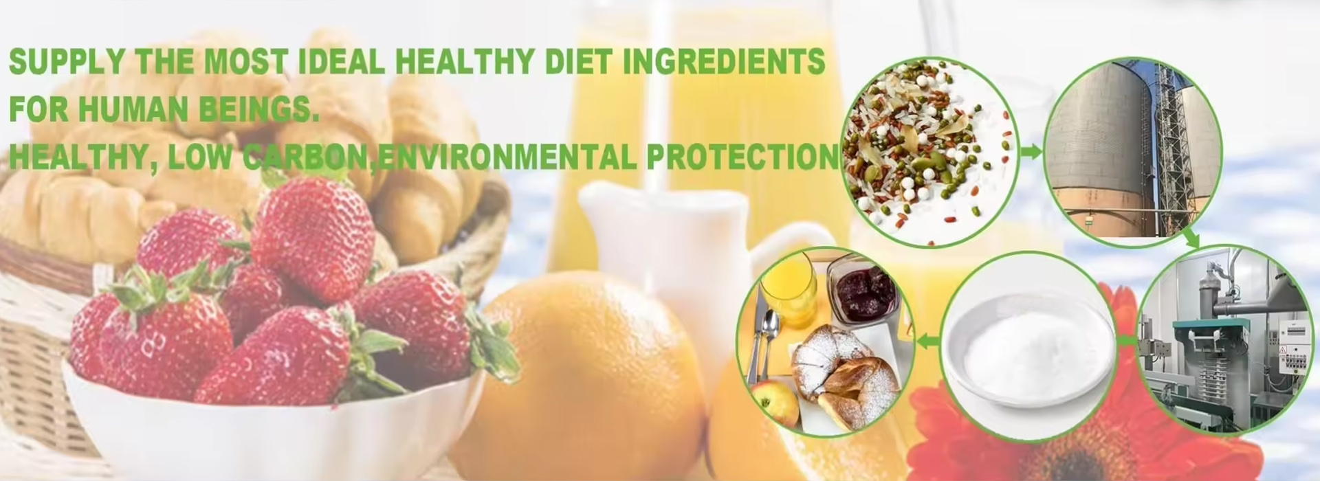 Weituoli Biotechnology (Anji) Co., Ltd