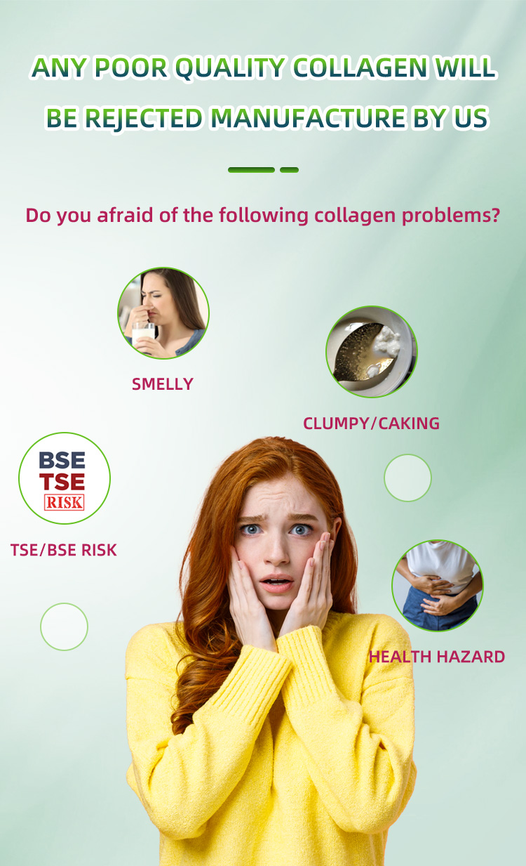 Organic Hydrolyzed Rice Protein Peptide Powder Rice Vegan Protein Rice Peptide